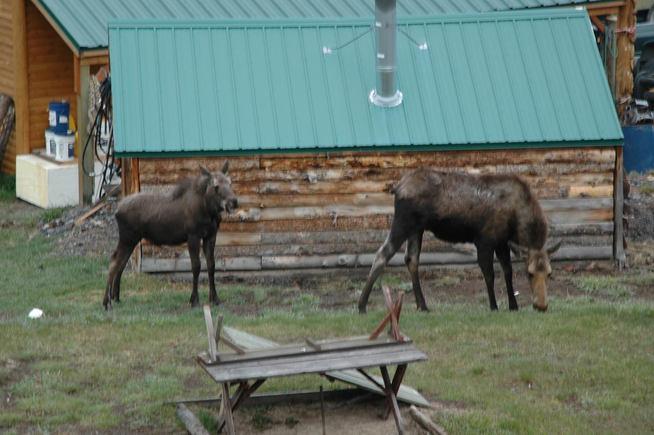 Lava Mountain Lodge Dubois Dış mekan fotoğraf